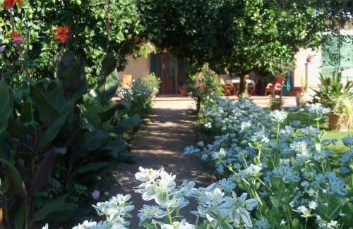 Lake Bracciano Bed & Breakfast | Tavernamici
