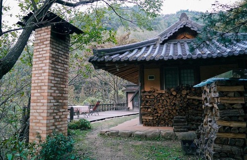 Hadong Bed & Breakfast | Tea Field Guest House