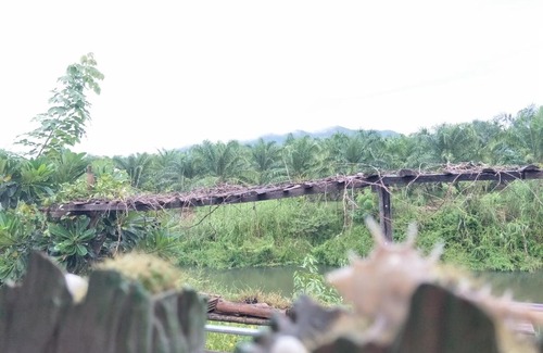 Thoeng Resort | Teak villa
