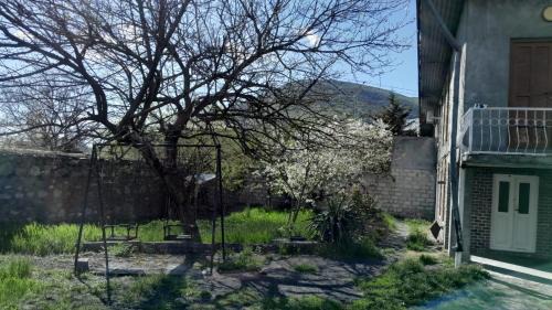 Sheki House | Tehran House
