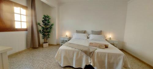 Santa Lucia Apartment | Ten Minutes From Airport - 2