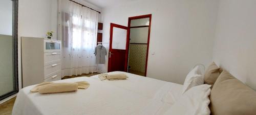Santa Lucia Apartment | Ten Minutes From Airport - 1