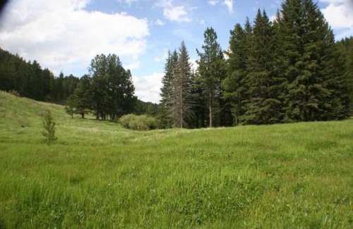 Custer House | Tenderfoot Creek Cabin