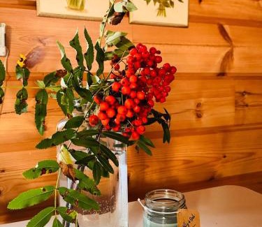 Rovaniemi Ski Chalet | Tennihovi Cottage
