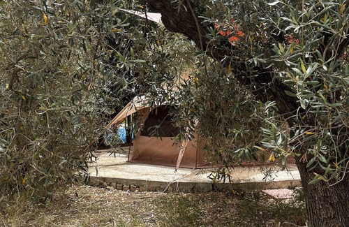 Quartu Sant'Elena RV Rental | Tent "Olive Tent - In Our Garden" with Sea View & Shared Pool