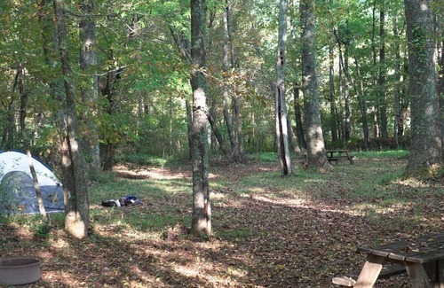 Suches RV Rental | Tent Space – Assigned Spot with Electrical #4