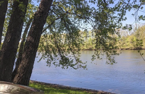 Litchfield RV Rental | Tentrr Signature Site - Normanton Farms - Coleman Outfitted Site