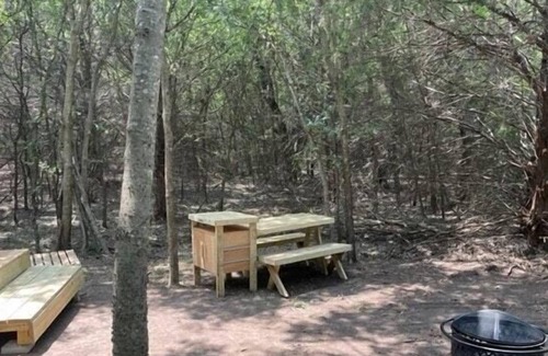 Irene RV Rental | Tentrr Signature Site - Blue Moon Camping (Woods)