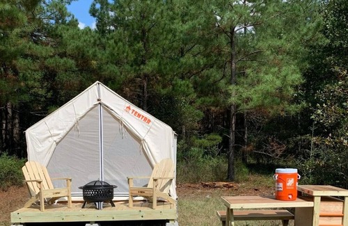 Pennington RV Rental | Tentrr Signature Site - HFR Campsite in the Davey Crockett National Forest #3