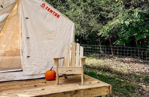 Mattawana Other | Tentrr Signature Site - Piney Pond Retreat at Tuckaway Tree Farm