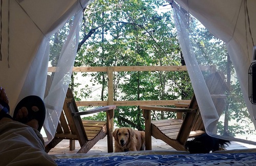 Kings Creek RV Rental | Tentrr Signature Site - Sunrise View