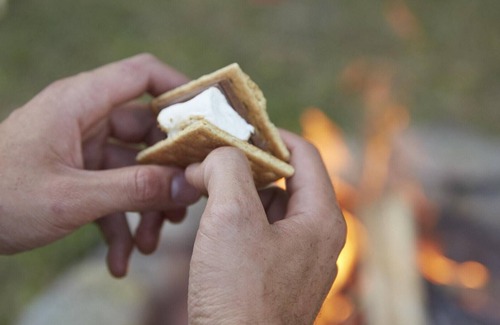 Los Gatos RV Rental | Tentrr Signature Site - Sunrise Point