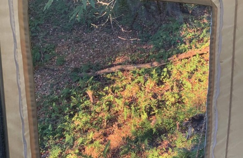 Los Gatos RV Rental | Tentrr Signature Site - Sunrise Point