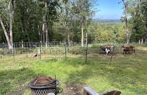 Rhinebeck RV Rental | Tentrr Signature Site - Sweet Hill Glamping