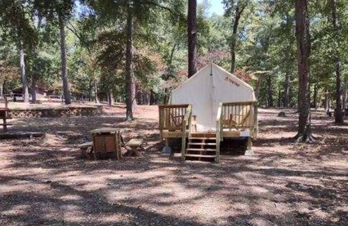 Huntsville RV Rental | Tentrr State Park Site - Texas Huntsville State Park - Site B - Single Camp