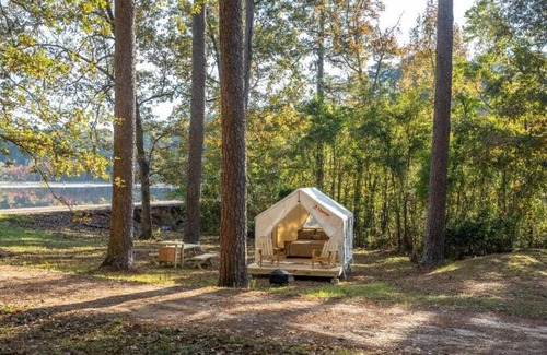 Morton RV Rental | Tentrr State Park Site - Mississippi Roosevelt State Park - Tall Trees G