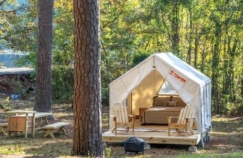 Morton RV Rental | Tentrr State Park Site - Mississippi Roosevelt State Park - Tall Trees G