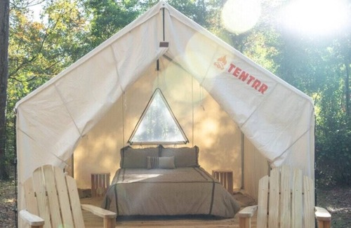 Morton RV Rental | Tentrr State Park Site - Mississippi Roosevelt State Park - Tall Trees G