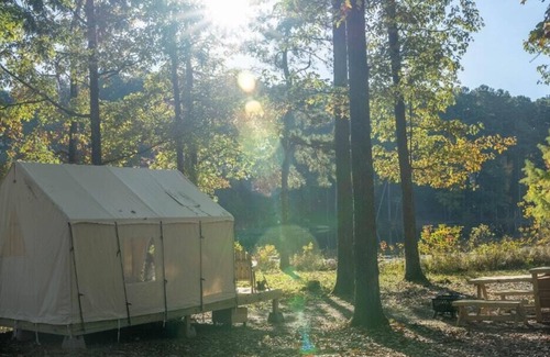 Morton RV Rental | Tentrr State Park Site - Mississippi Roosevelt State Park - Shadow Lake F - Sing