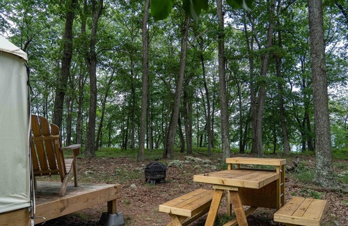 Mathias RV Rental | Tentrr State Park Site - WV Lost River State Park - Wooded Wilderness C - Single