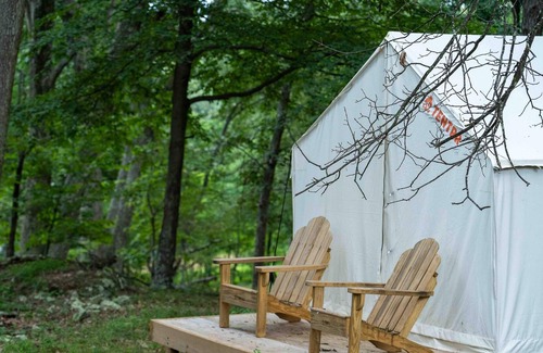 Mathias RV Rental | Tentrr State Park Site - WV Lost River State Park - Wooded Wilderness D - Single