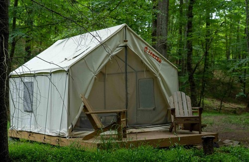 Mathias RV Rental | Tentrr State Park Site - WV Lost River State Park - Site E - Single Camp