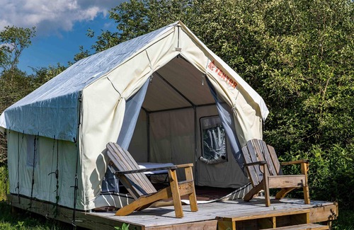 Davis RV Rental | Tentrr State Park Site - WV Blackwater Falls State Park - Site A - Single Camp "