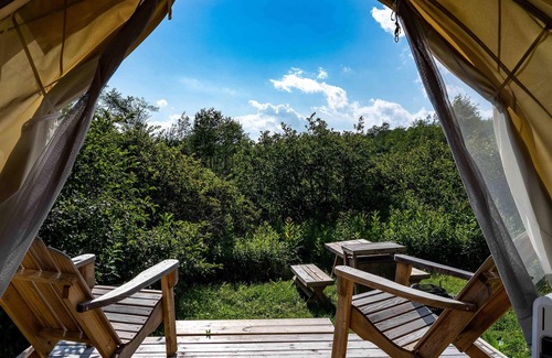 Davis RV Rental | Tentrr State Park Site - WV Blackwater Falls State Park - Site A - Single Camp "