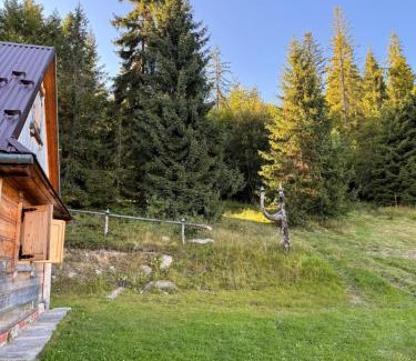 Nowy Targ Ski Chalet | Terenowka Bacowka