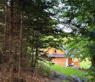Nowy Targ Ski Chalet | Terenowka Bacowka