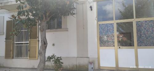 Termoli House | Termolihouse