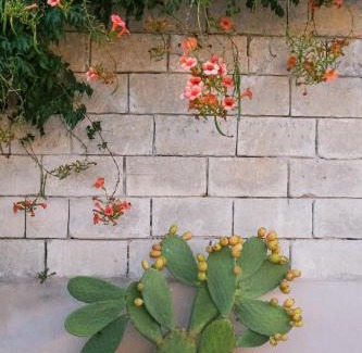 Uggiano la Chiesa Bed & Breakfast | Terra D'Otranto