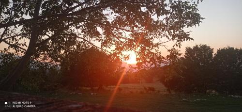 Roccamorice Bed & Breakfast | Terrae Eremis: Ristorante, Bar, B&B