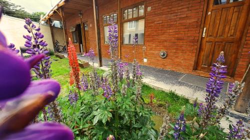 Province of Tierra del Fuego Apartment | Terrazas del sur