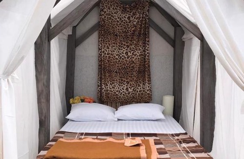 Chiang Rai Province Bed & Breakfast | Terre Terrace Glamping - Doichang