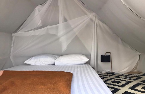 Chiang Rai Province Bed & Breakfast | Terre Terrace Glamping - Doichang