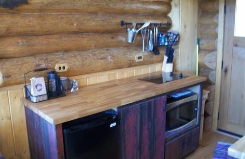 Silver Bay Cabin | Tettegouche Log Cabin Lake Superior views, Sauna, 4 state parks, snowshoe trails