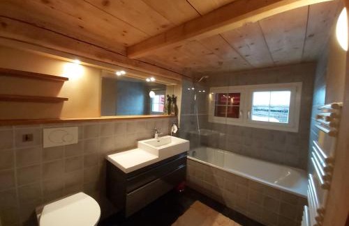 Sedrun Apartment | Tgèsa Felici
