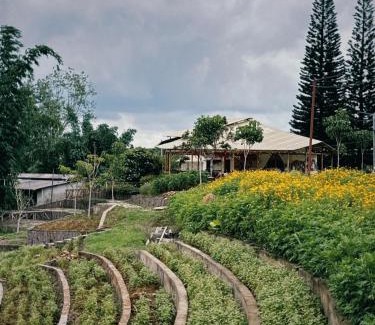 Bao Loc House | Thông Vi Vu Glamping