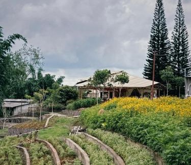 Bao Loc House | Thông Vi Vu Glamping