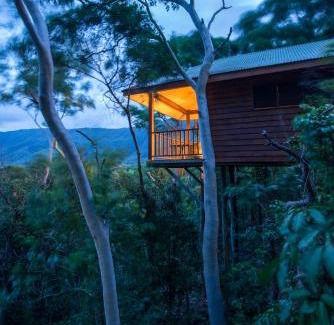 Oak Beach Resort | Thala Beach Nature Reserve