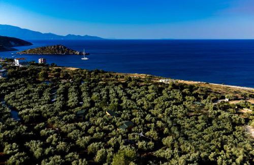 Varvara House | Thalassa Green