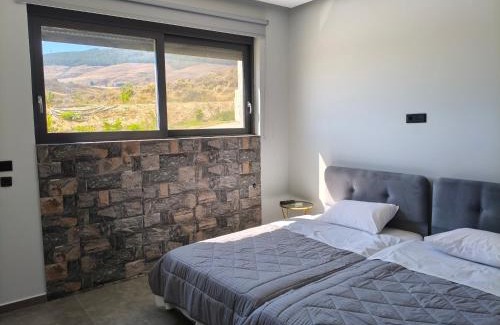 Psalidi Apartment | Thalori villa 1