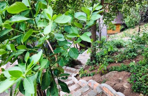Cam Ranh House | Thanh Nhi Homestay