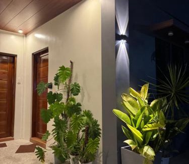 Solano House | the 19Th Transient House