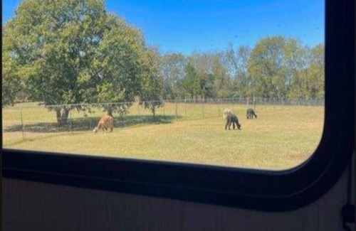 Gallatin House | The Alpaca Campa - Minutes to Nashville