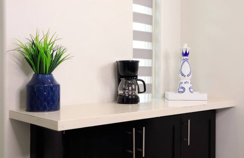 Edinburg Apartment | The Ambassador Suite