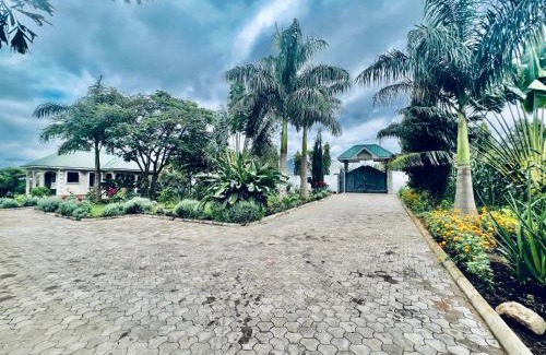 Arusha Apartment | The Angelique Oasis