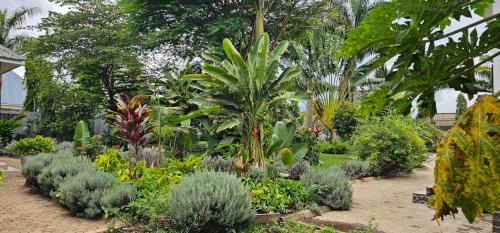 Arusha Apartment | The Angelique Oasis