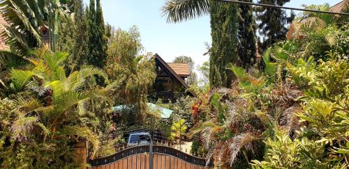 Nairobi Ski Chalet | The Annex at 64 : Cozy, rustic cottage/treehouse